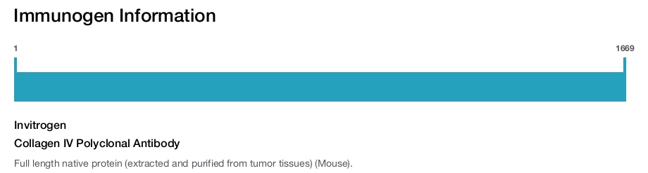 Collagen IV Polyclonal Antibody