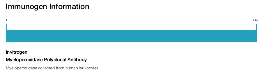 Myeloperoxidase Polyclonal Antibody
