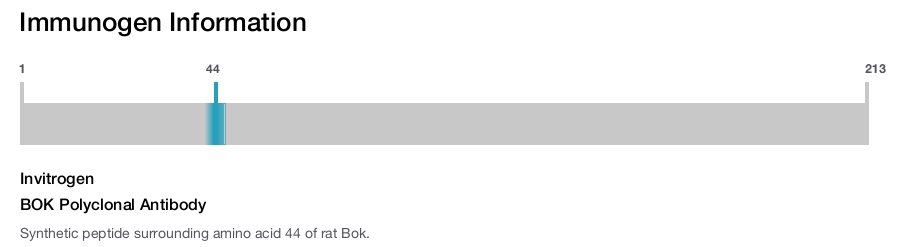 BOK Polyclonal Antibody