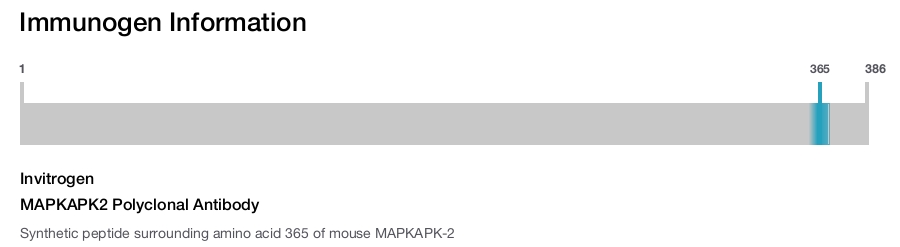 MAPKAPK2 Polyclonal Antibody