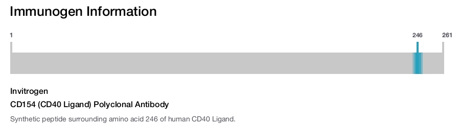 CD154 (CD40 Ligand) Polyclonal Antibody