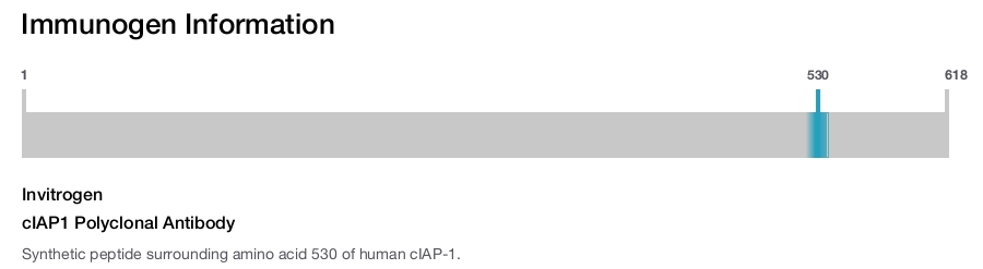 cIAP1 Polyclonal Antibody