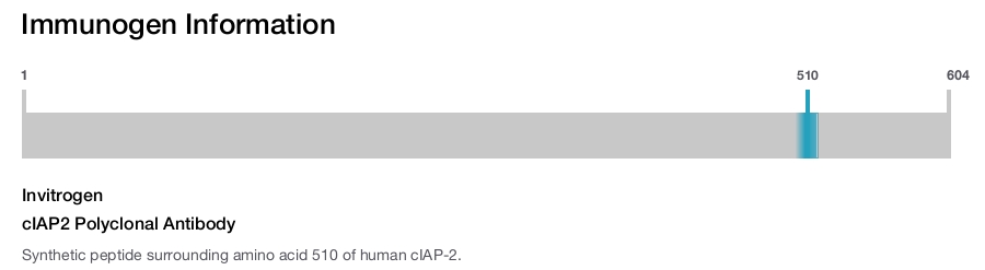 cIAP2 Polyclonal Antibody