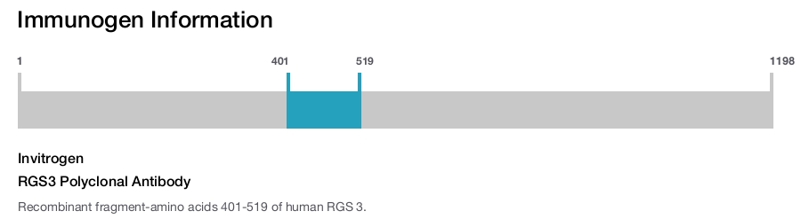 RGS3 Polyclonal Antibody