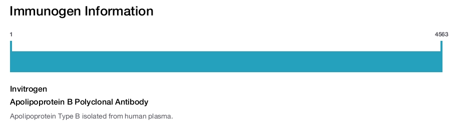 Apolipoprotein B Polyclonal Antibody