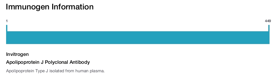 Apolipoprotein J Polyclonal Antibody