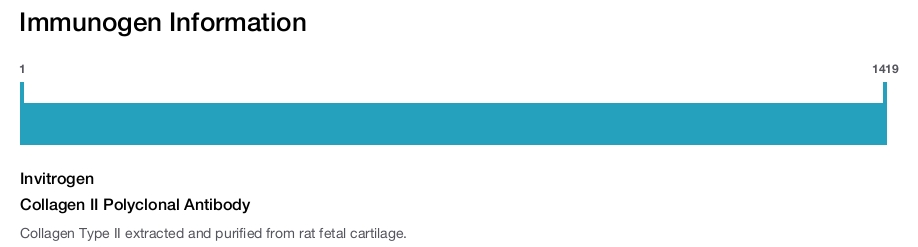 Collagen II Polyclonal Antibody