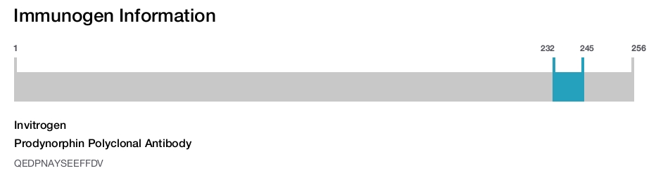 Prodynorphin Polyclonal Antibody