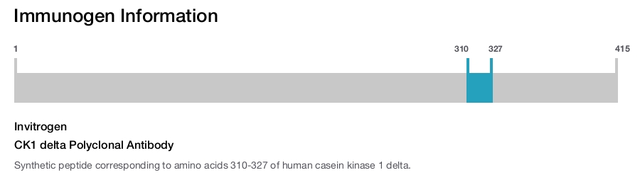 CK1 delta Polyclonal Antibody
