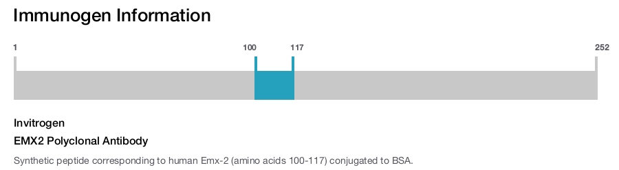 EMX2 Polyclonal Antibody