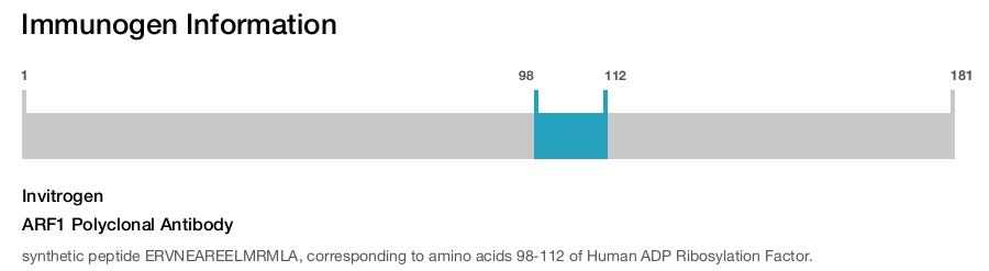 ARF1 Polyclonal Antibody
