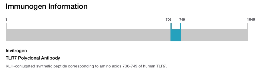 TLR7 Polyclonal Antibody