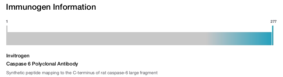 Caspase 6 Polyclonal Antibody