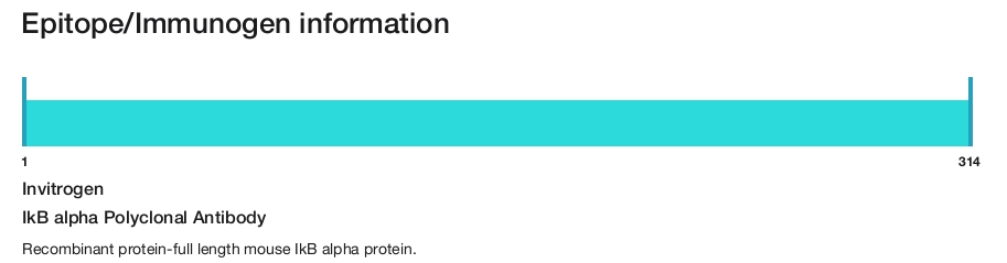 IkB alpha Polyclonal Antibody