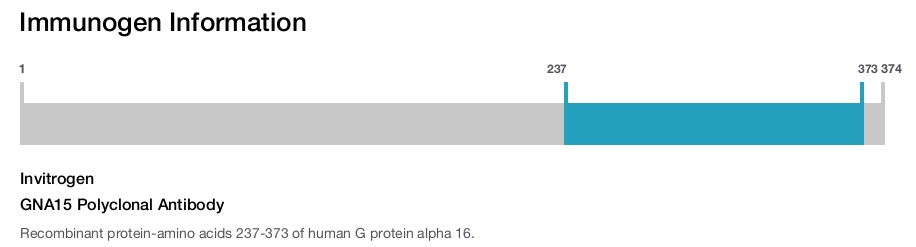 GNA15 Polyclonal Antibody