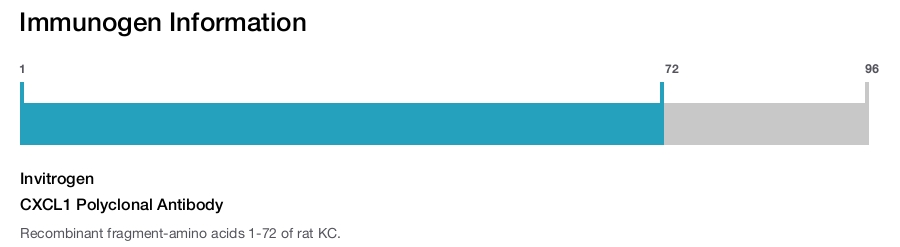 CXCL1 Polyclonal Antibody