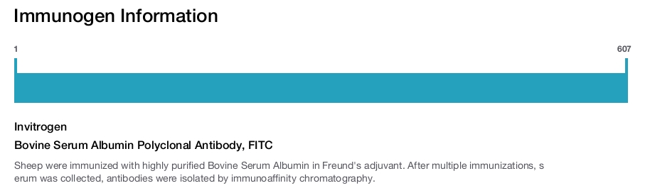 Bovine Serum Albumin Polyclonal Antibody, FITC