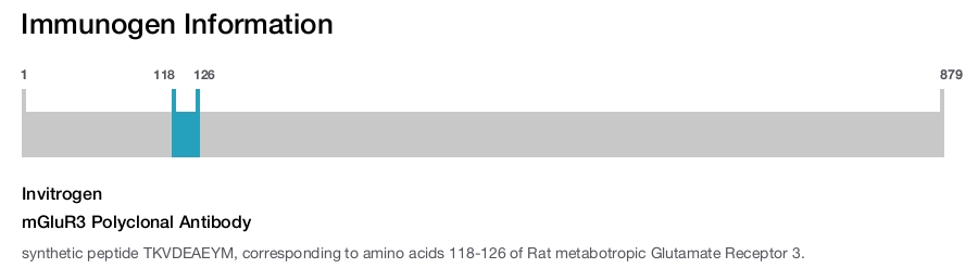 mGluR3 Polyclonal Antibody
