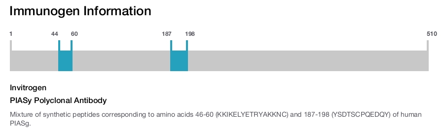 PIASy Polyclonal Antibody