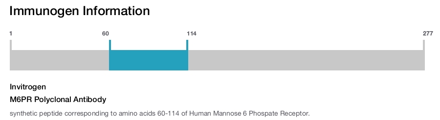 M6PR Polyclonal Antibody