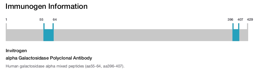 alpha Galactosidase Polyclonal Antibody