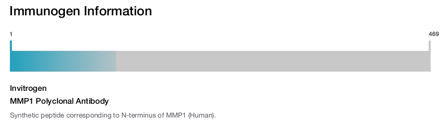 MMP1 Polyclonal Antibody