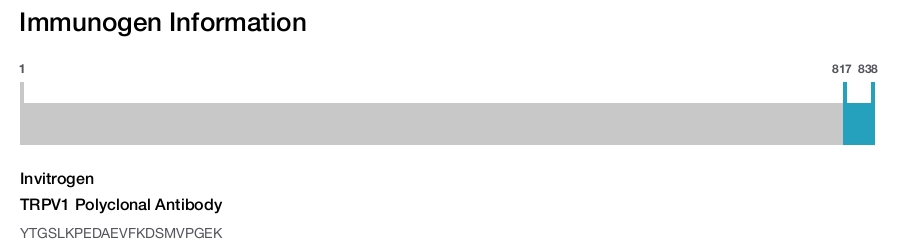 TRPV1 Polyclonal Antibody