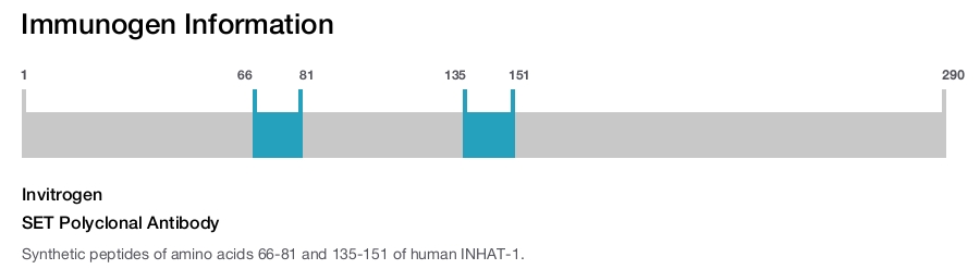 SET Polyclonal Antibody