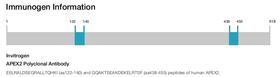 APEX2 Polyclonal Antibody