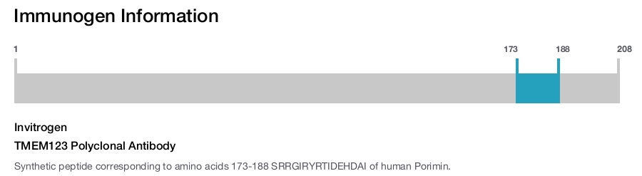TMEM123 Polyclonal Antibody