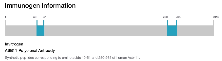 ASB11 Polyclonal Antibody