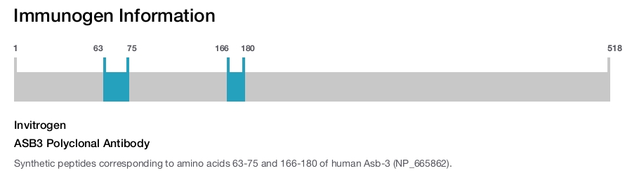 ASB3 Polyclonal Antibody