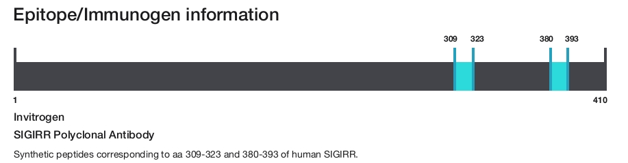 SIGIRR Polyclonal Antibody
