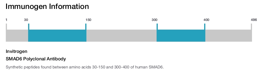 SMAD6 Polyclonal Antibody