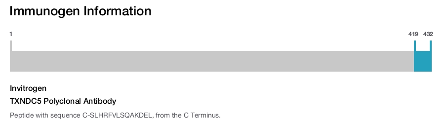 TXNDC5 Polyclonal Antibody