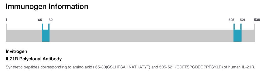 IL21R Polyclonal Antibody