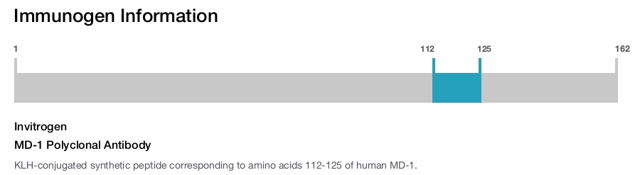 MD-1 Polyclonal Antibody