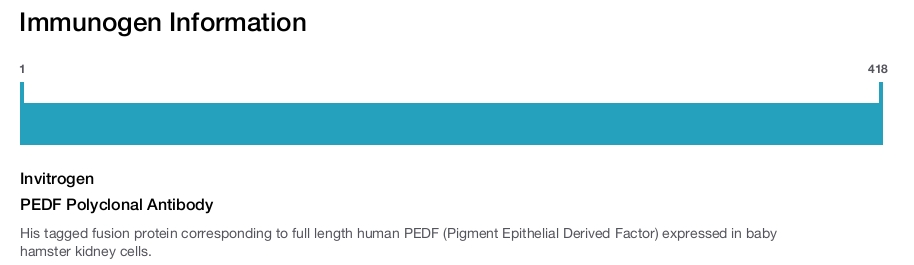 PEDF Polyclonal Antibody