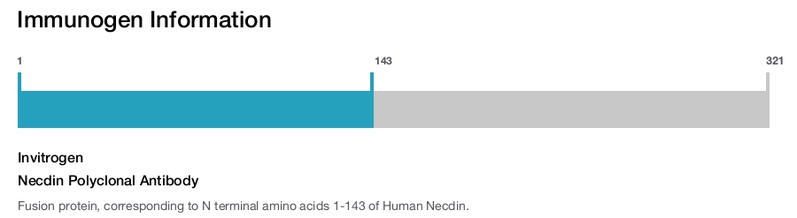 Necdin Polyclonal Antibody