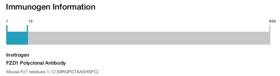 FZD1 Polyclonal Antibody