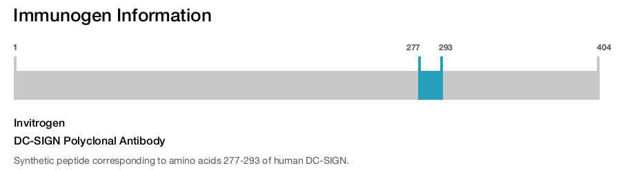 DC-SIGN Polyclonal Antibody