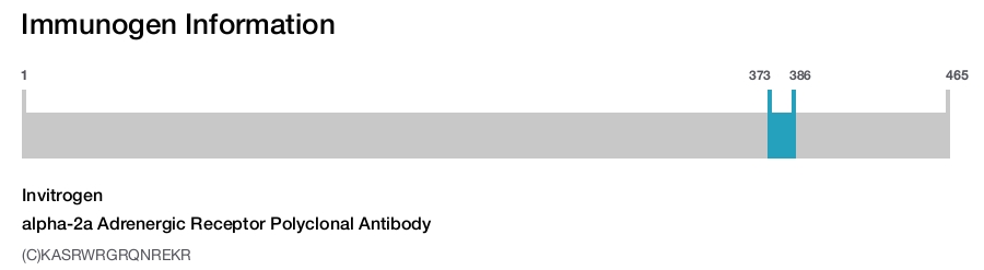 alpha-2a Adrenergic Receptor Polyclonal Antibody