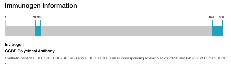 CGBP Polyclonal Antibody