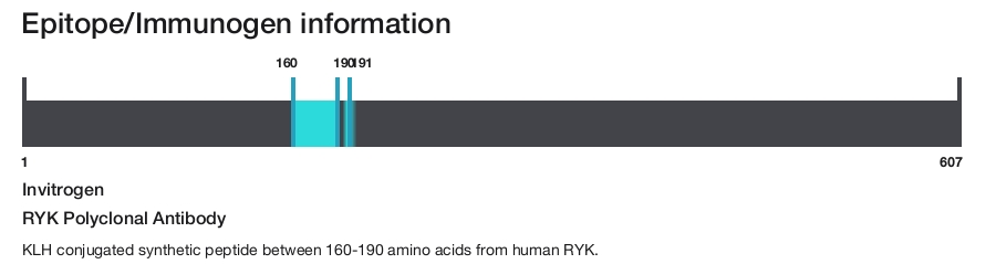 RYK Polyclonal Antibody