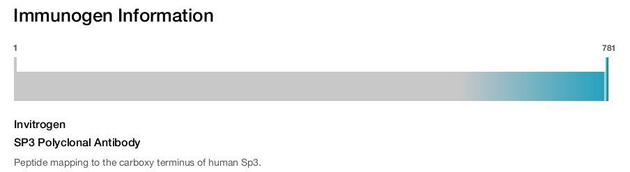 SP3 Polyclonal Antibody