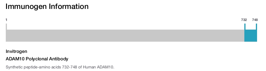 ADAM10 Polyclonal Antibody