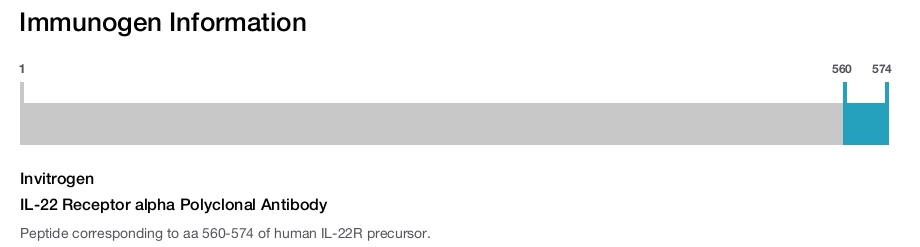 IL-22 Receptor alpha Polyclonal Antibody