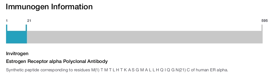 Estrogen Receptor alpha Polyclonal Antibody