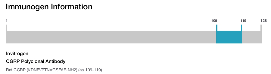 CGRP Polyclonal Antibody