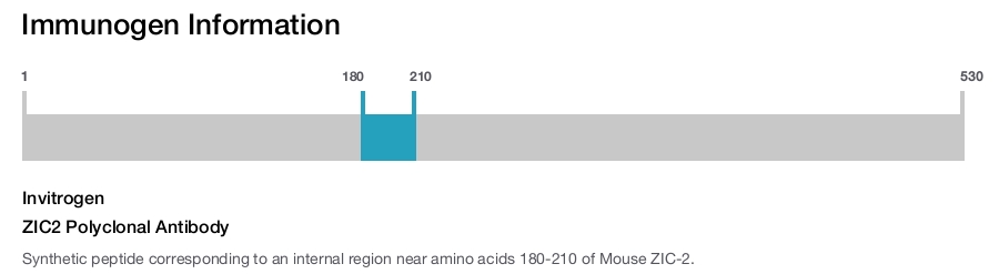 ZIC2 Polyclonal Antibody